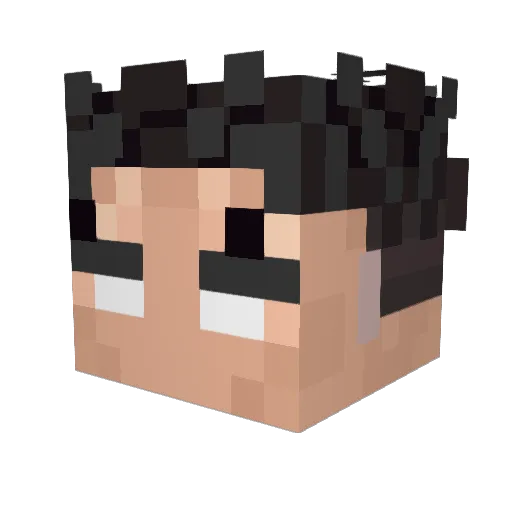 Rawbrawler15 Minecraft avatar head, 3D render