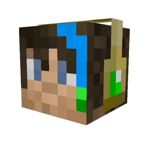 Rawchiken Minecraft avatar head, 3D render