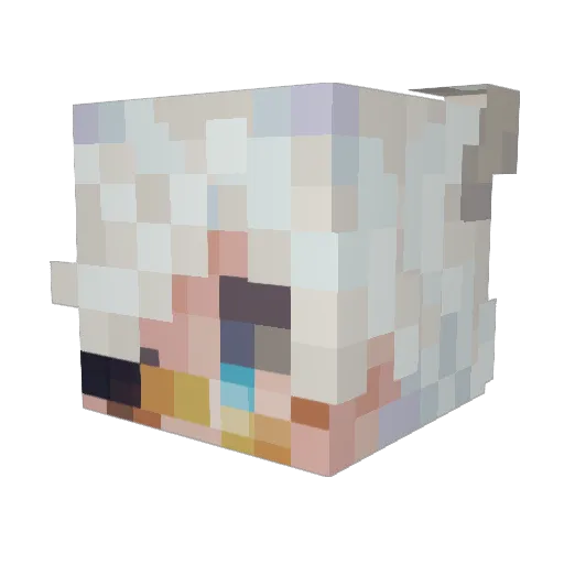Rawlingzz20 Minecraft avatar head, 3D render