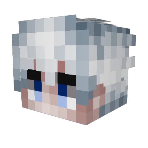 Rawp Minecraft avatar head, 3D render