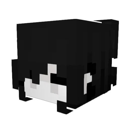 Rawr310 Minecraft avatar head, 3D render