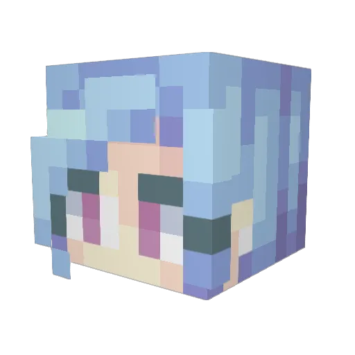 Rawr6497 Minecraft avatar head, 3D render