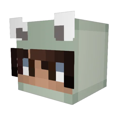 RawrDqn Minecraft avatar head, 3D render