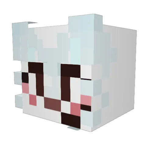 Rawrr_UwU Minecraft avatar head, 3D render