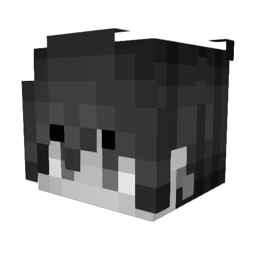 Rawrrtox Minecraft avatar head, 3D render