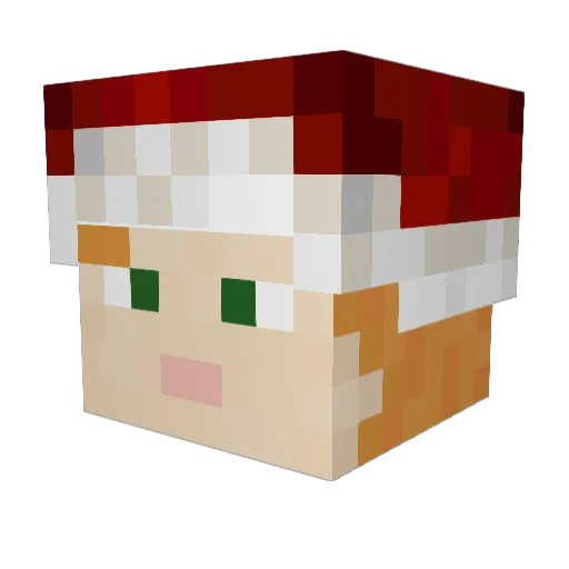RawryBoy666 Minecraft avatar head, 3D render