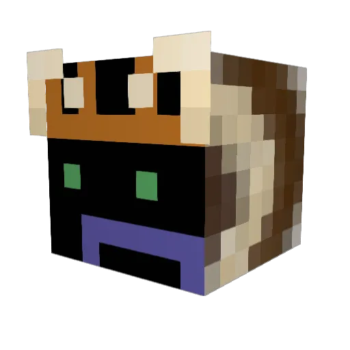 Rawrzilla23 Minecraft avatar head, 3D render