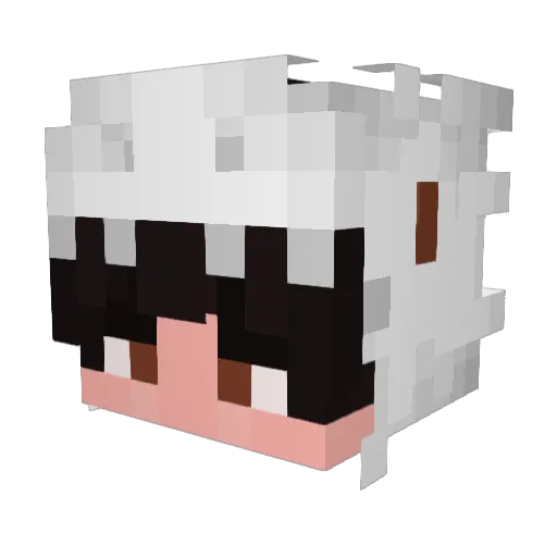 Rawstep Minecraft avatar head, 3D render