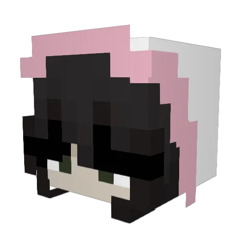 Raww____ Minecraft avatar head, 3D render