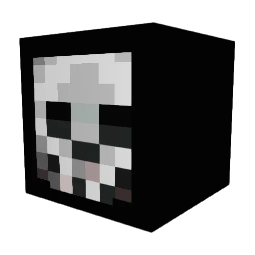 RaxBoon Minecraft avatar head, 3D render