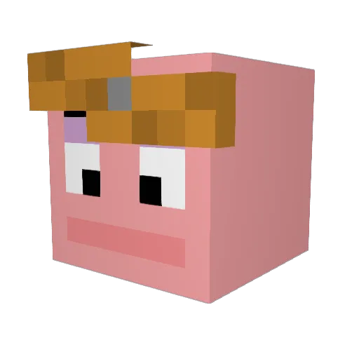 RaxOnJava Minecraft avatar head, 3D render