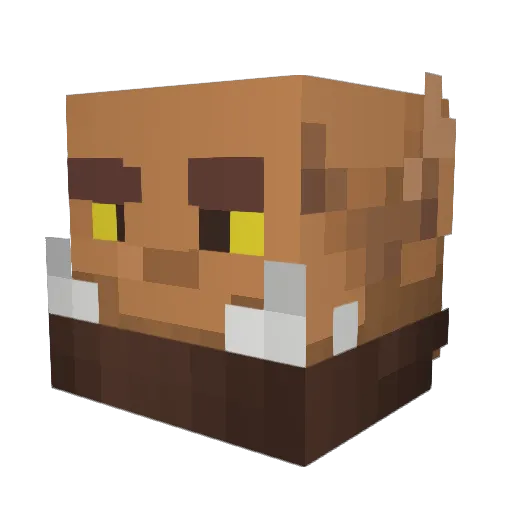 Raxery Minecraft avatar head, 3D render