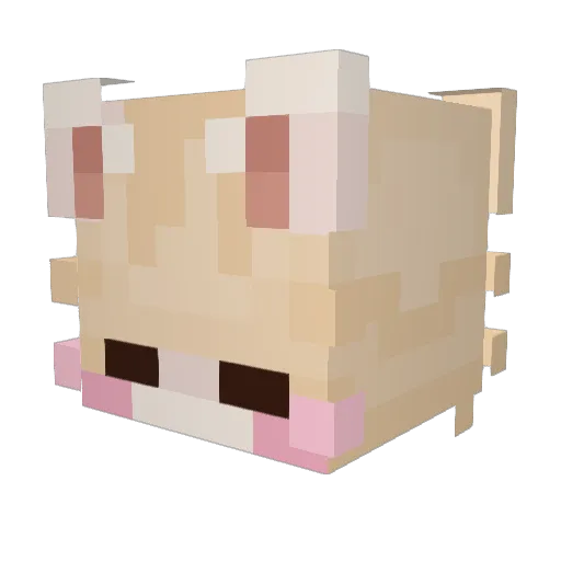 Raxesarty Minecraft avatar head, 3D render