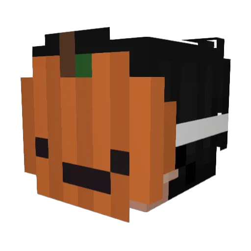 Raxhicz Minecraft avatar head, 3D render