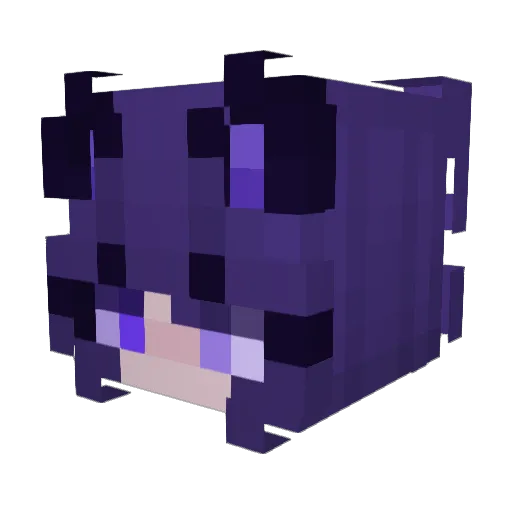 RaxsiarekYT Minecraft avatar head, 3D render