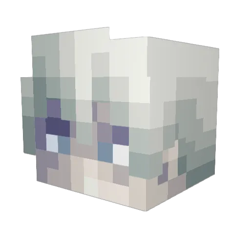 Raxthem Minecraft avatar head, 3D render