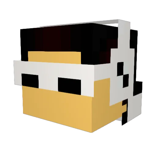 Raxtro Minecraft avatar head, 3D render