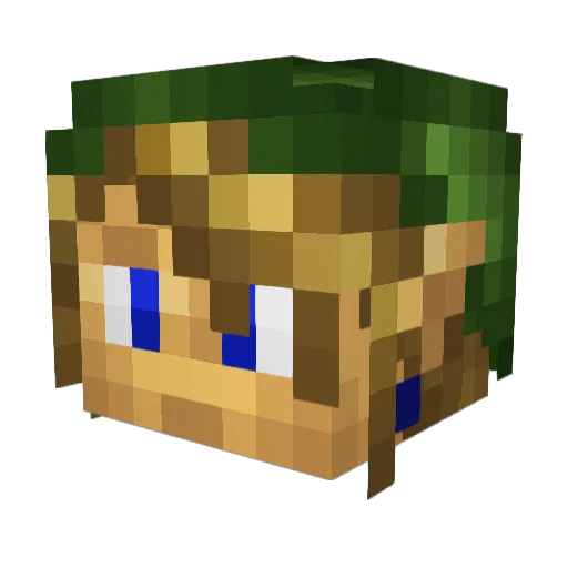 Raxxer007 Minecraft avatar head, 3D render