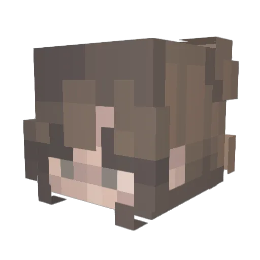 Raxxn Minecraft avatar head, 3D render