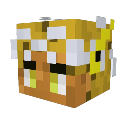 Ray0708 Minecraft avatar head, 3D render