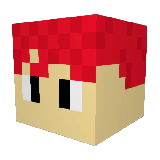 Ray11 Minecraft avatar head, 3D render