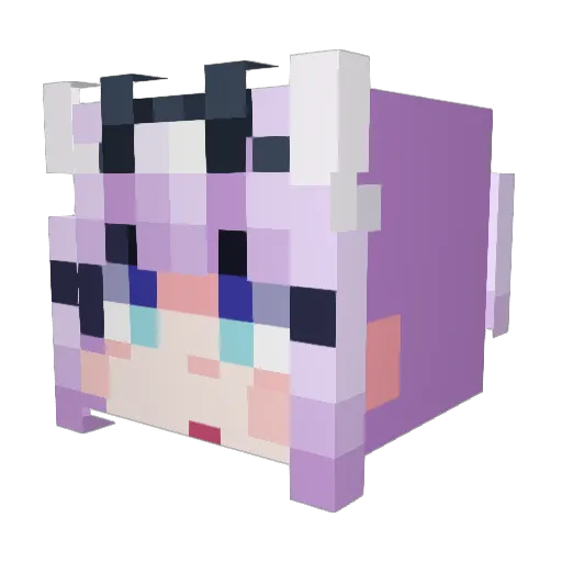 Ray137 Minecraft avatar head, 3D render