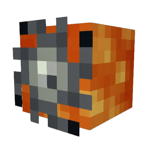 Ray27995 Minecraft avatar head, 3D render