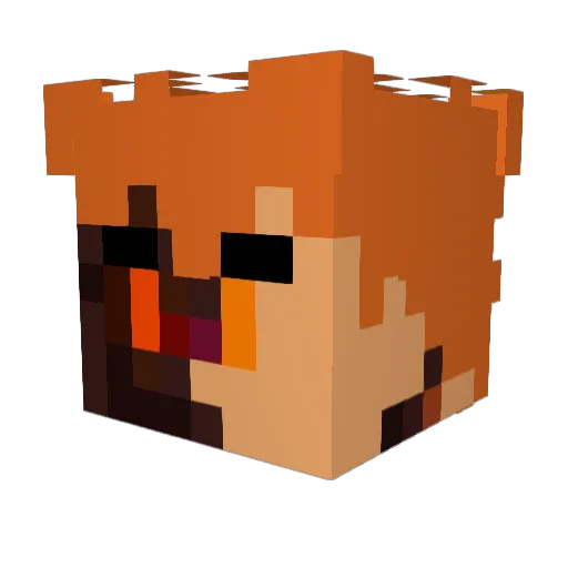 Ray2playz Minecraft avatar head, 3D render