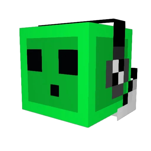 Ray312 Minecraft avatar head, 3D render