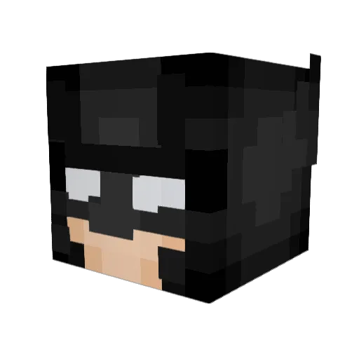 Ray717 Minecraft avatar head, 3D render