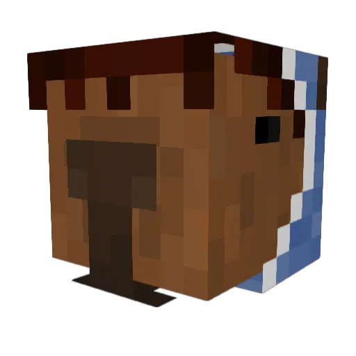 RayAnimates Minecraft avatar head, 3D render