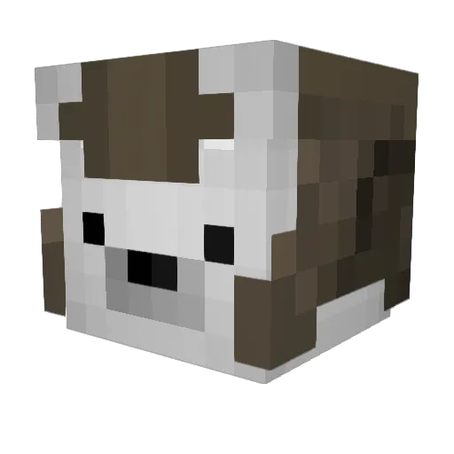 RayGlitch7 Minecraft avatar head, 3D render