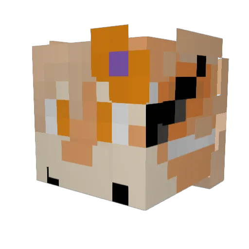 RayKitKat Minecraft avatar head, 3D render