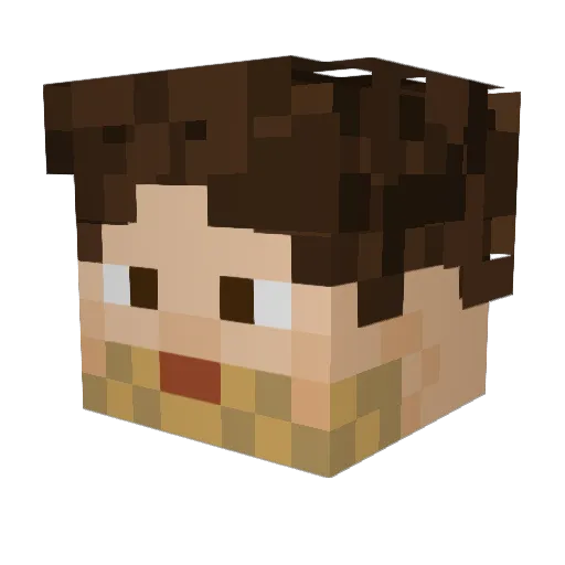 RayNay256 Minecraft avatar head, 3D render