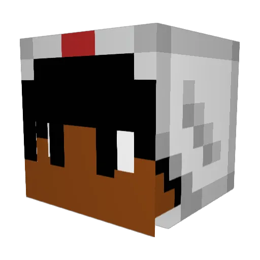 RayOreoRae Minecraft avatar head, 3D render