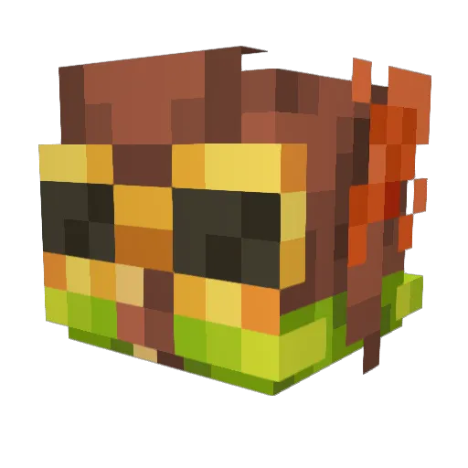 RayRay176 Minecraft avatar head, 3D render