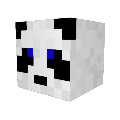RayRay5433 Minecraft avatar head, 3D render