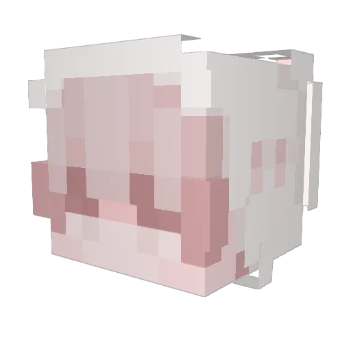 RayRiceGaming Minecraft avatar head, 3D render