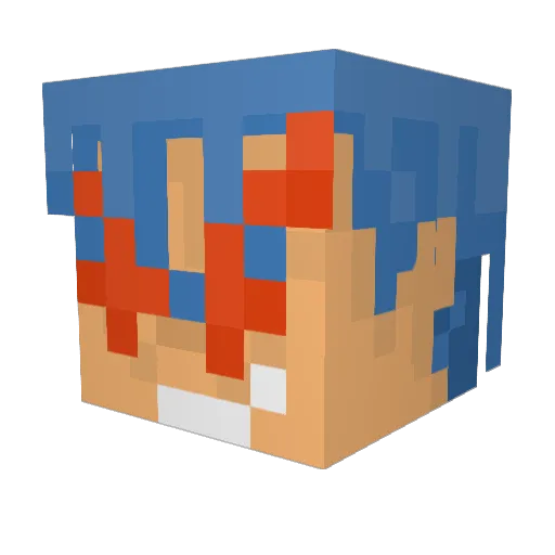 RaySan2Fam16 Minecraft avatar head, 3D render
