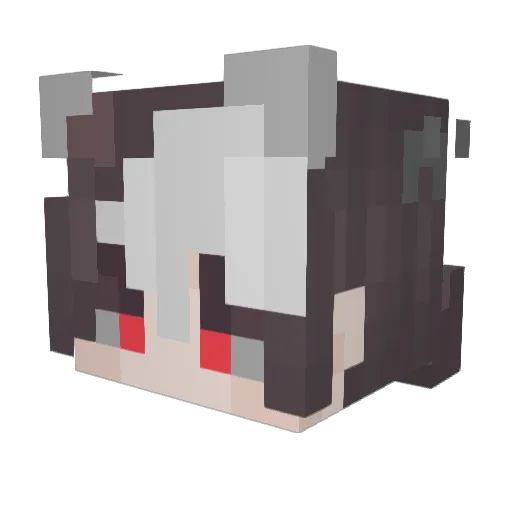 RaySnowZ Minecraft avatar head, 3D render
