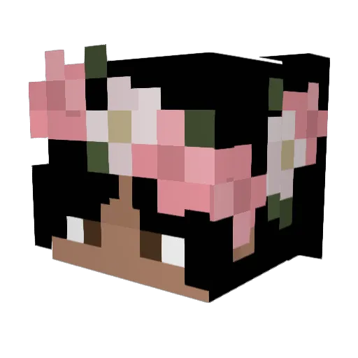 RaySparce Minecraft avatar head, 3D render