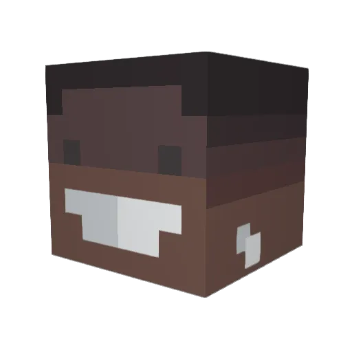 RaySpeeltDDG Minecraft avatar head, 3D render