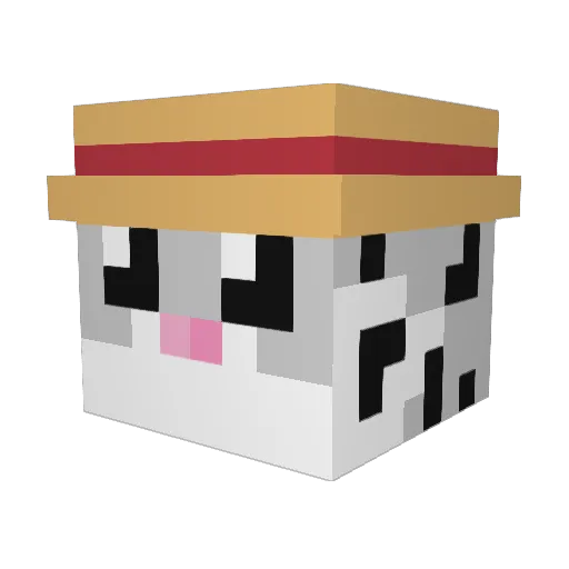 RayTheBars Minecraft avatar head, 3D render