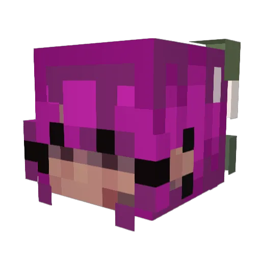 RayTheWeeb Minecraft avatar head, 3D render
