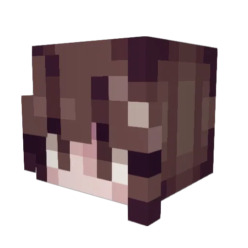 Ray_00 Minecraft avatar head, 3D render