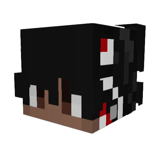 Ray_27 Minecraft avatar head, 3D render