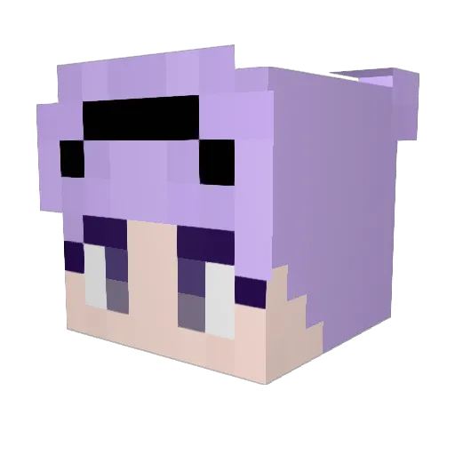 Ray_3215 Minecraft avatar head, 3D render