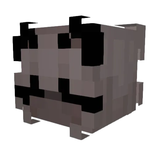 Ray_BC Minecraft avatar head, 3D render