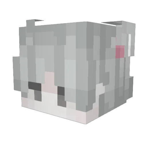 Ray_Destiny Minecraft avatar head, 3D render
