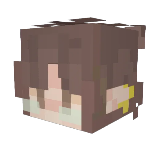 Ray_ne Minecraft avatar head, 3D render